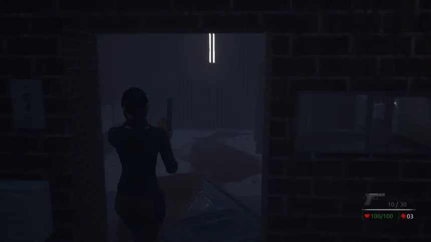 Скриншот 5 к игре Evil Awaits