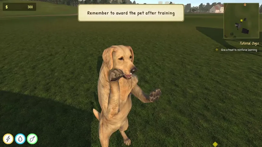 Скриншот 6 к игре Animal Trainer Simulator