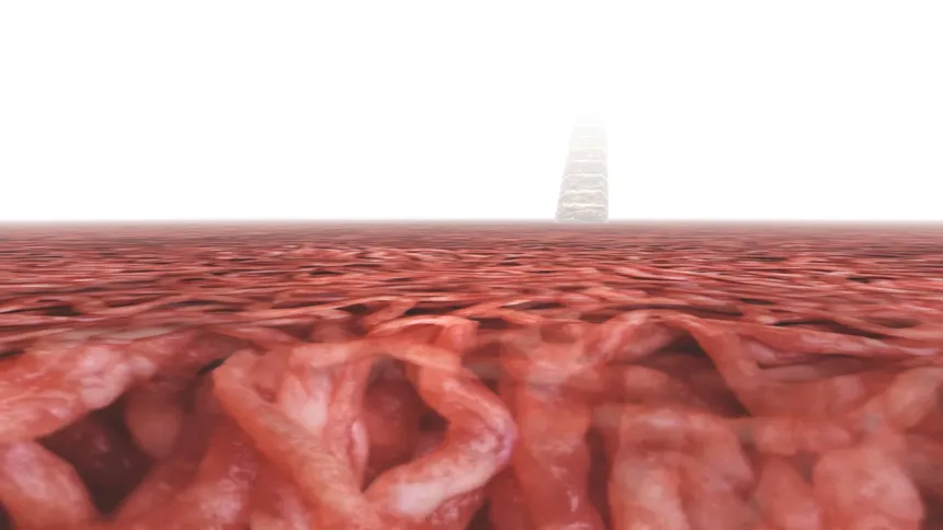 Скриншот 4 к игре Meat Madness