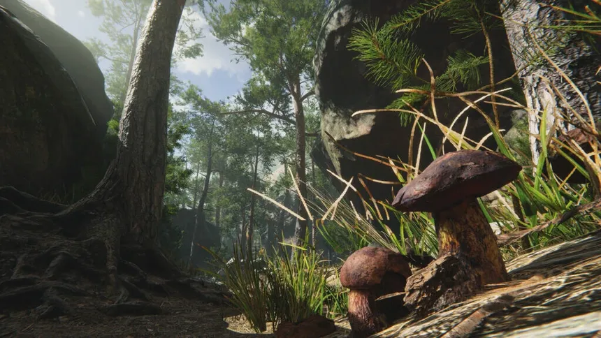 Скриншот 3 к игре Mushroom Collector Simulator