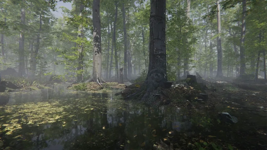 Скриншот 4 к игре Mushroom Collector Simulator