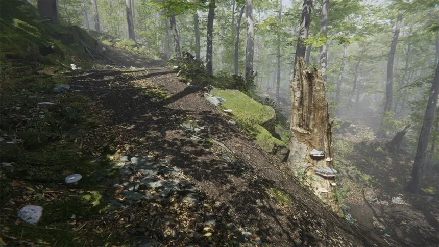 Скриншот 5 к игре Mushroom Collector Simulator