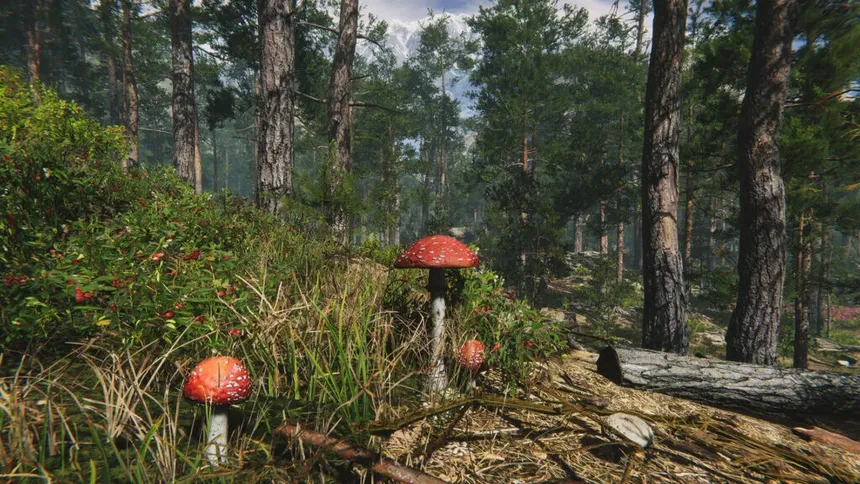 Скриншот 8 к игре Mushroom Collector Simulator