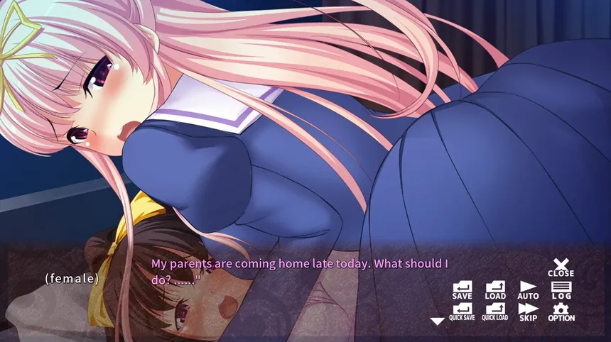 Скриншот 5 к игре 俺が私に変わった日…- Becoming a She -