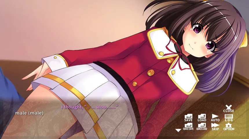 Скриншот 6 к игре 俺が私に変わった日…- Becoming a She -