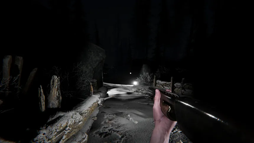 Скриншот 3 к игре Silence In The Cabin