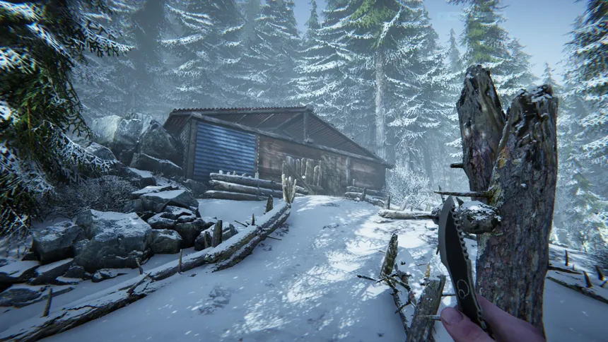 Скриншот 4 к игре Silence In The Cabin