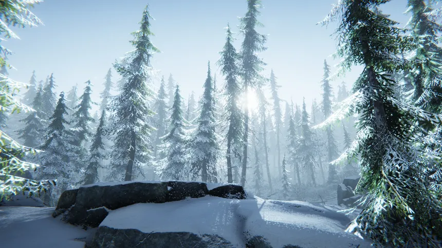 Скриншот 6 к игре Silence In The Cabin