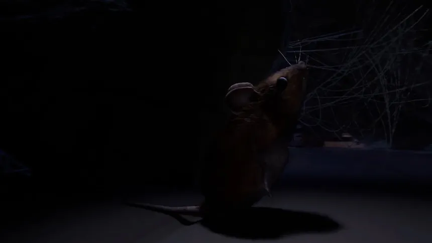 Скриншот 3 к игре About A Mouse