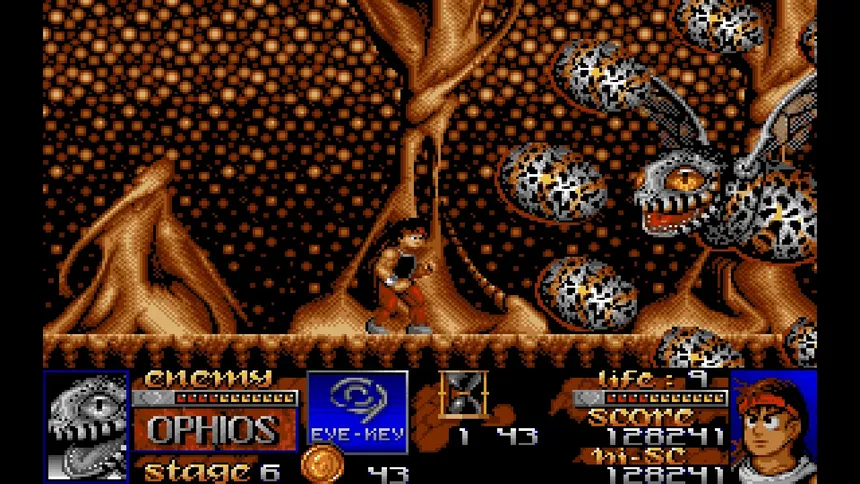 Скриншот 1 к игре Risky Woods