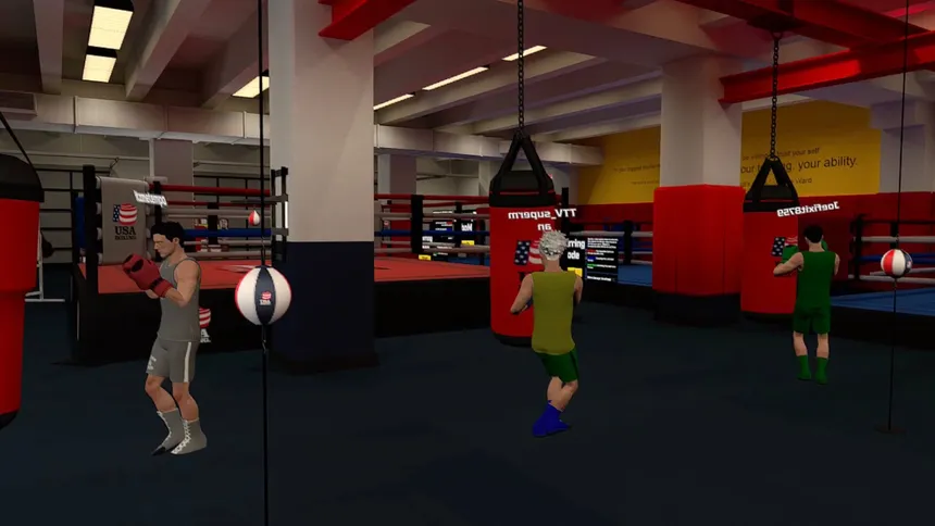 Скриншот 2 к игре Golden Gloves VR