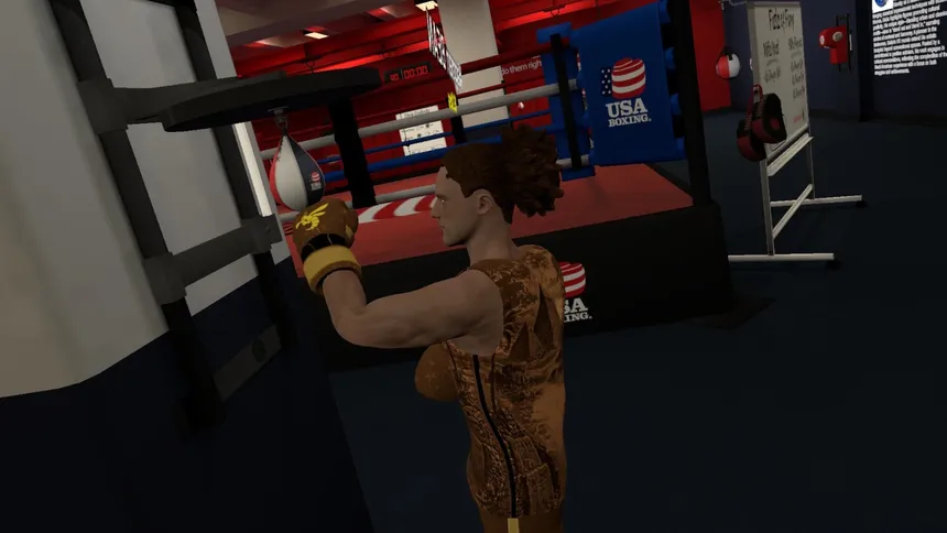 Скриншот 4 к игре Golden Gloves VR