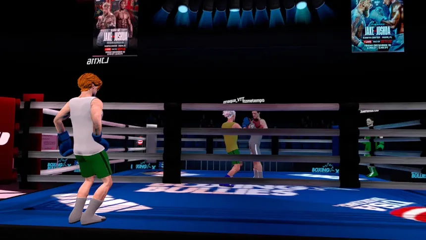 Скриншот 5 к игре Golden Gloves VR