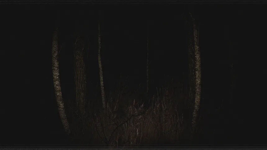 Скриншот 1 к игре Paranormal VHS