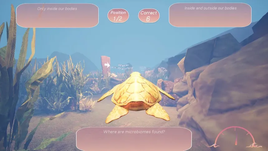 Скриншот 2 к игре Turtle Racer
