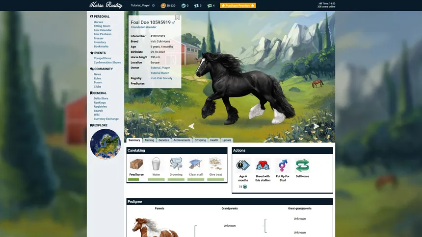 Скриншот 2 к игре Horse Reality