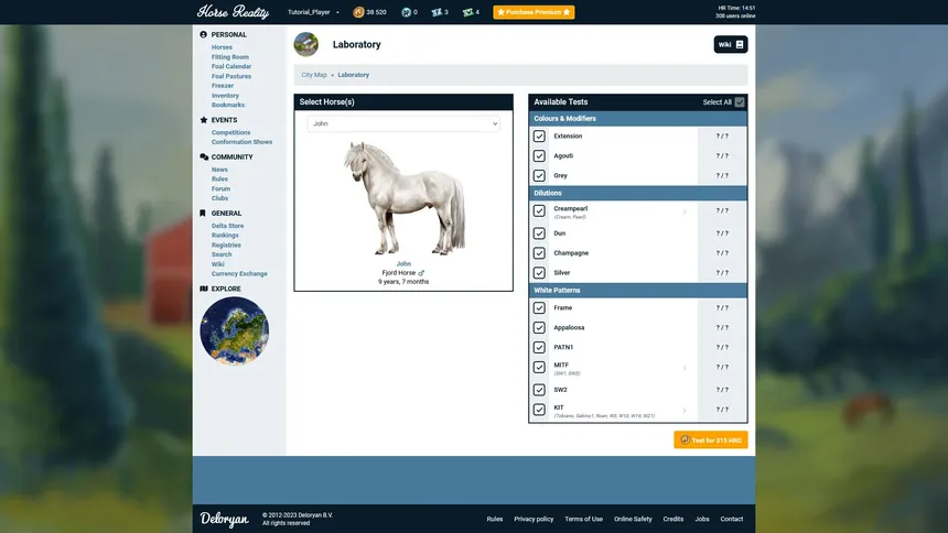 Скриншот 4 к игре Horse Reality