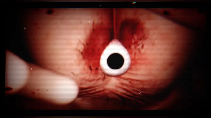 Скриншот 4 к игре SHIRIME: The Curse of Butt-Eye