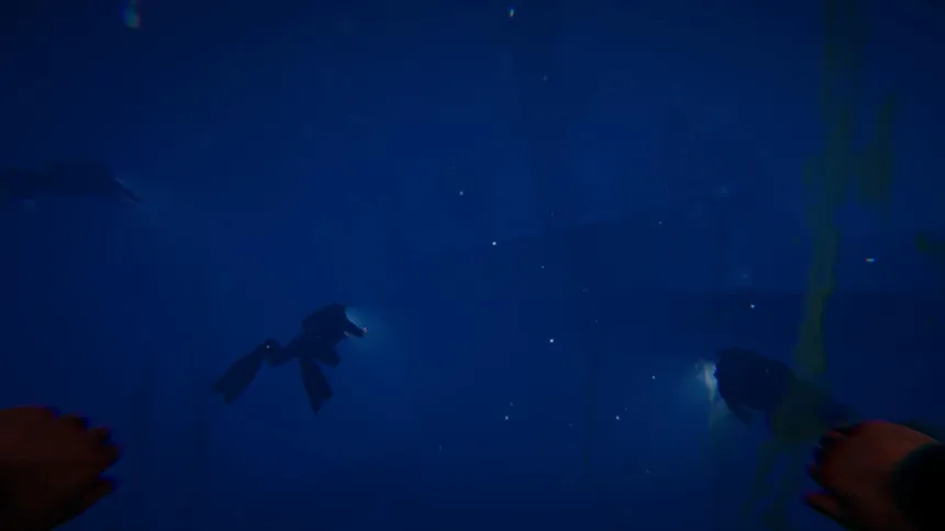 Скриншот 1 к игре Dark Findings: Submerge