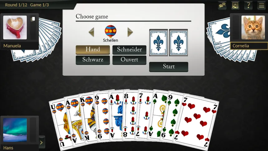 Скриншот 2 к игре Absolute Skat for Windows 11