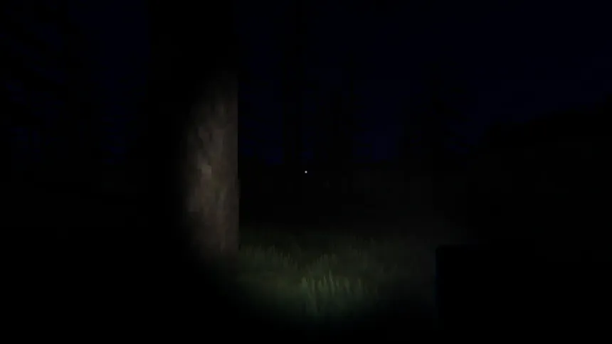 Скриншот 4 к игре Wendigo