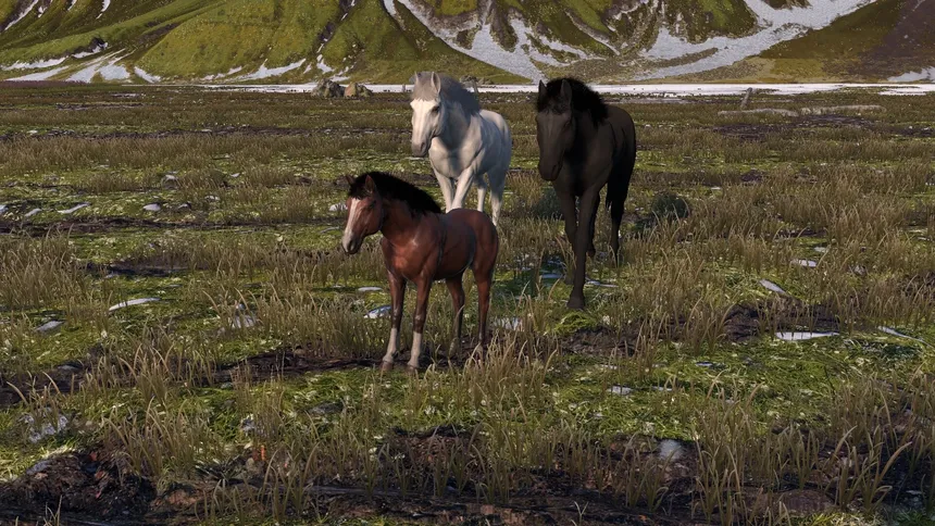 Скриншот 4 к игре Жизнь лошади: конь, лошадь, пони (Horse Life)