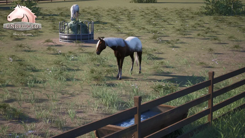 Скриншот 2 к игре Unbridled: Horse Designer