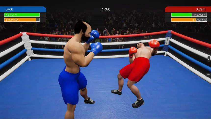 Скриншот 7 к игре Boxing Simulator