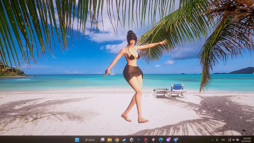 Скриншот 1 к игре Desktop Beach Girls