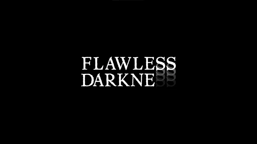 Скриншот 1 к игре Flawless Darkness