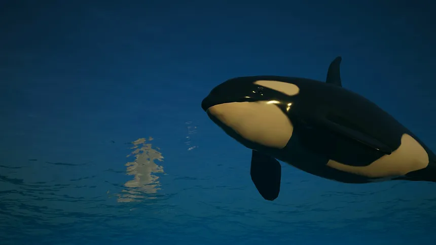 Скриншот 4 к игре Get Them Boats: Orca Revenge