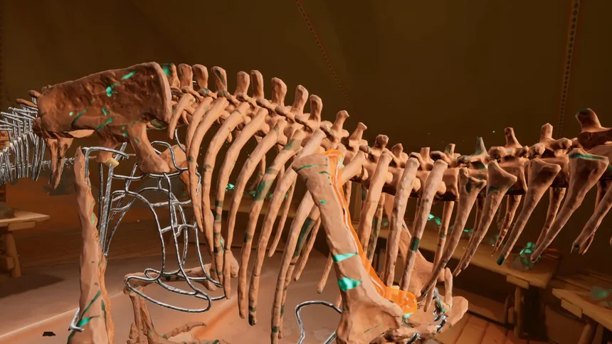 Скриншот 2 к игре Fossil Diggers VR