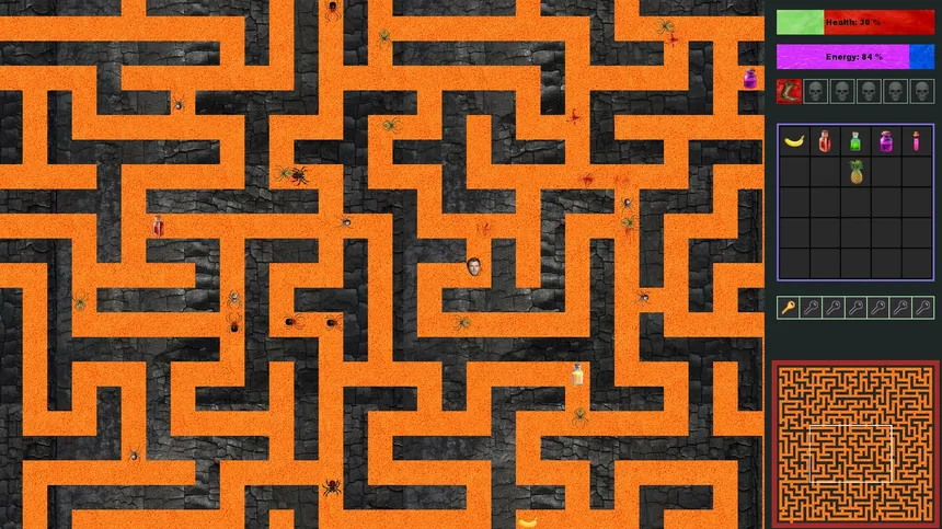 Скриншот 2 к игре Australian maze