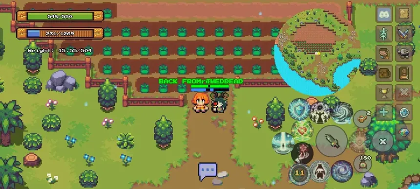 Скриншот 4 к игре Definya 2D MMORPG