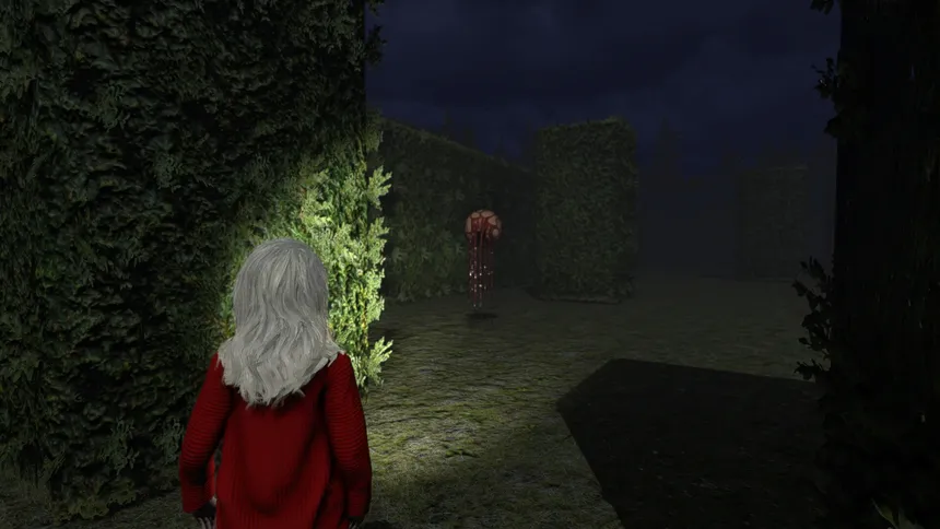 Скриншот 8 к игре The Darkened Halls