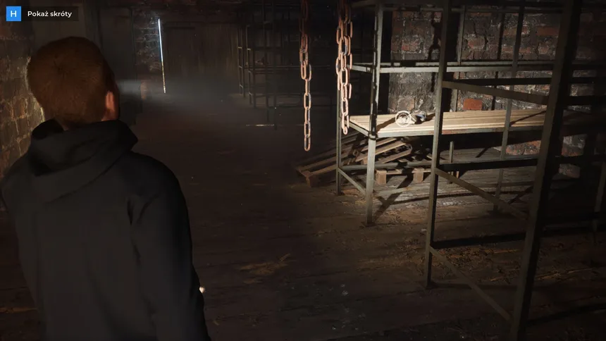 Скриншот 4 к игре Detective: Ritual of the Sea