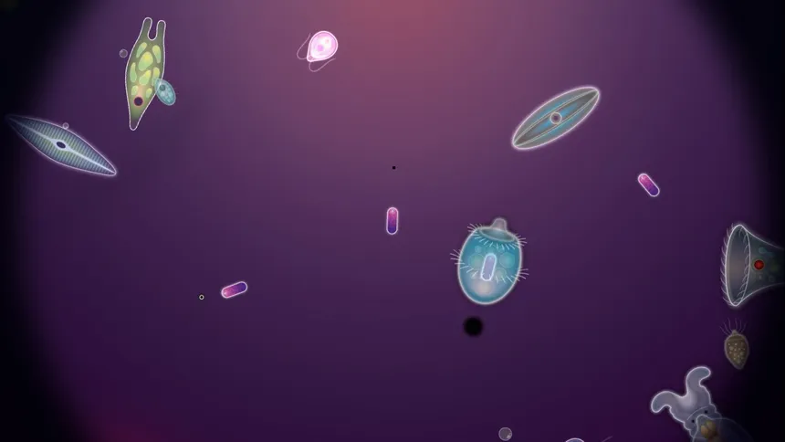 Скриншот 5 к игре Symbio