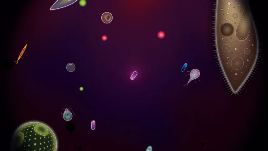 Скриншот 6 к игре Symbio