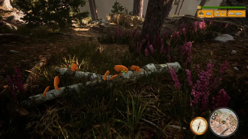 Скриншот 4 к игре Morels: The Hunt 2