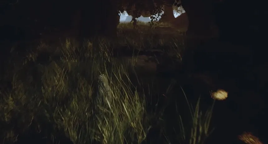 Скриншот 4 к игре The Phantom Forest