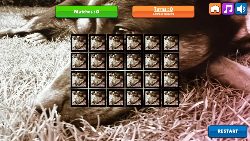 Скриншот 4 к игре OG Memory: Kira Maus
