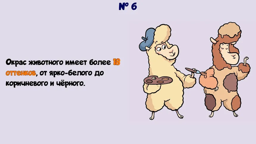 Скриншот 7 к игре Альпака-Познавака