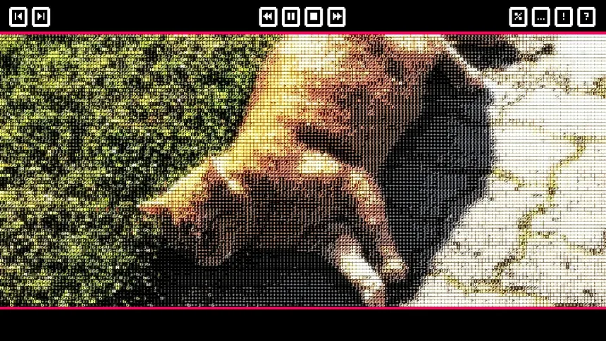 Скриншот 3 к игре Push The Cat with WASD