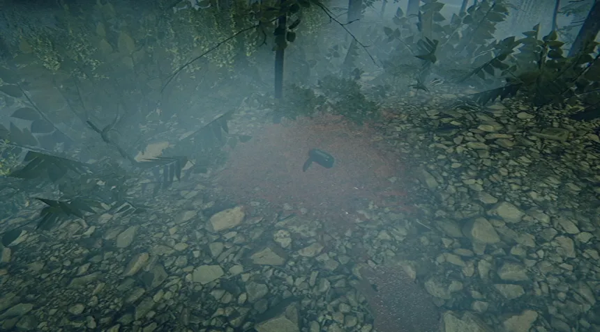 Скриншот 5 к игре The Children of The Woods - Lost Tape