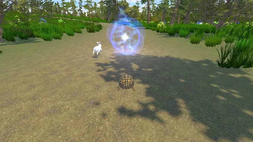 Скриншот 1 к игре Rabbit and Turtle