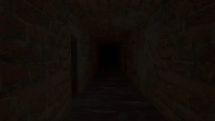 Скриншот 6 к игре Void or Hollow