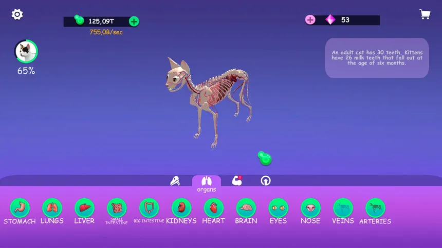 Скриншот 1 к игре IDLE Animal Anatomy