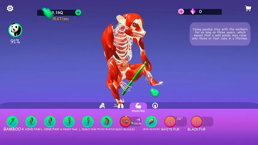 Скриншот 2 к игре IDLE Animal Anatomy