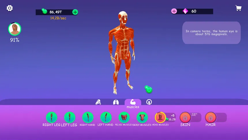 Скриншот 4 к игре IDLE Animal Anatomy