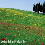 Скриншот 1 к игре world of dark